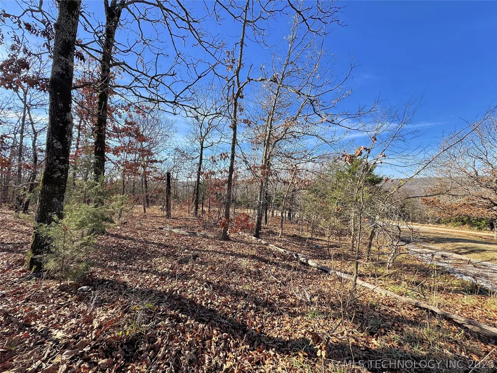 95001 S 4556 ROAD Vian, OK 74962