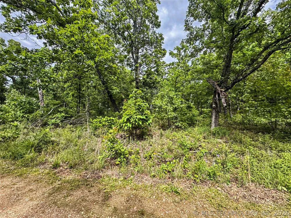 95001 S 4556 ROAD Vian, OK 74962