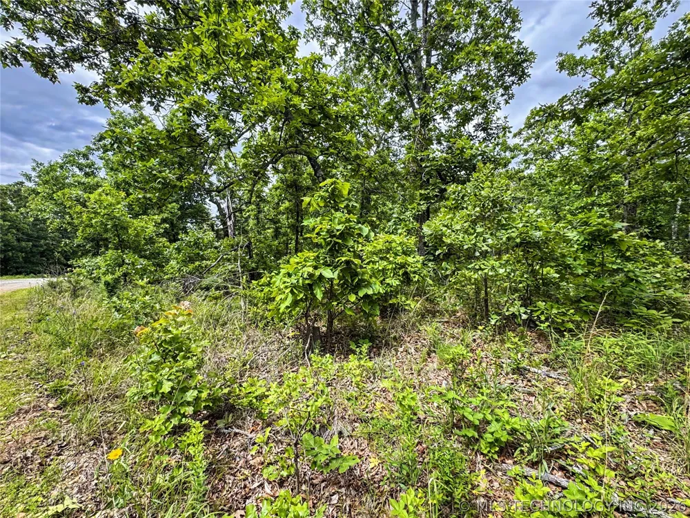 95001 S 4556 ROAD Vian, OK 74962