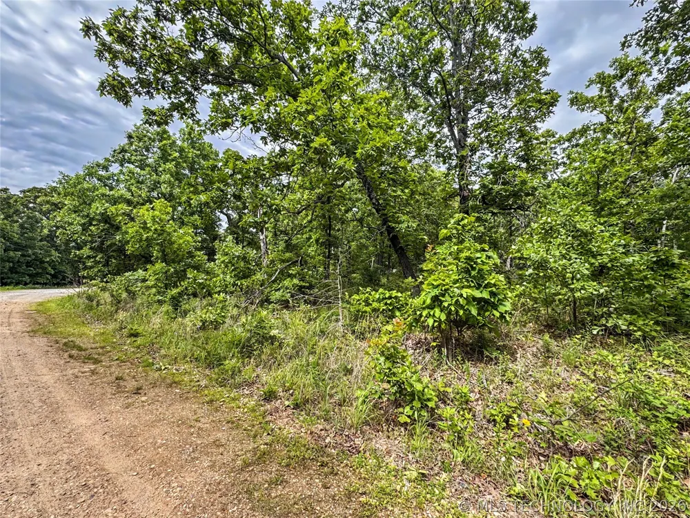 95001 S 4556 ROAD Vian, OK 74962