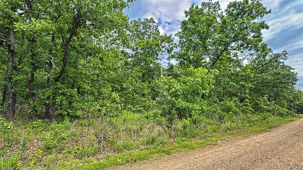 95001 S 4556 ROAD Vian, OK 74962