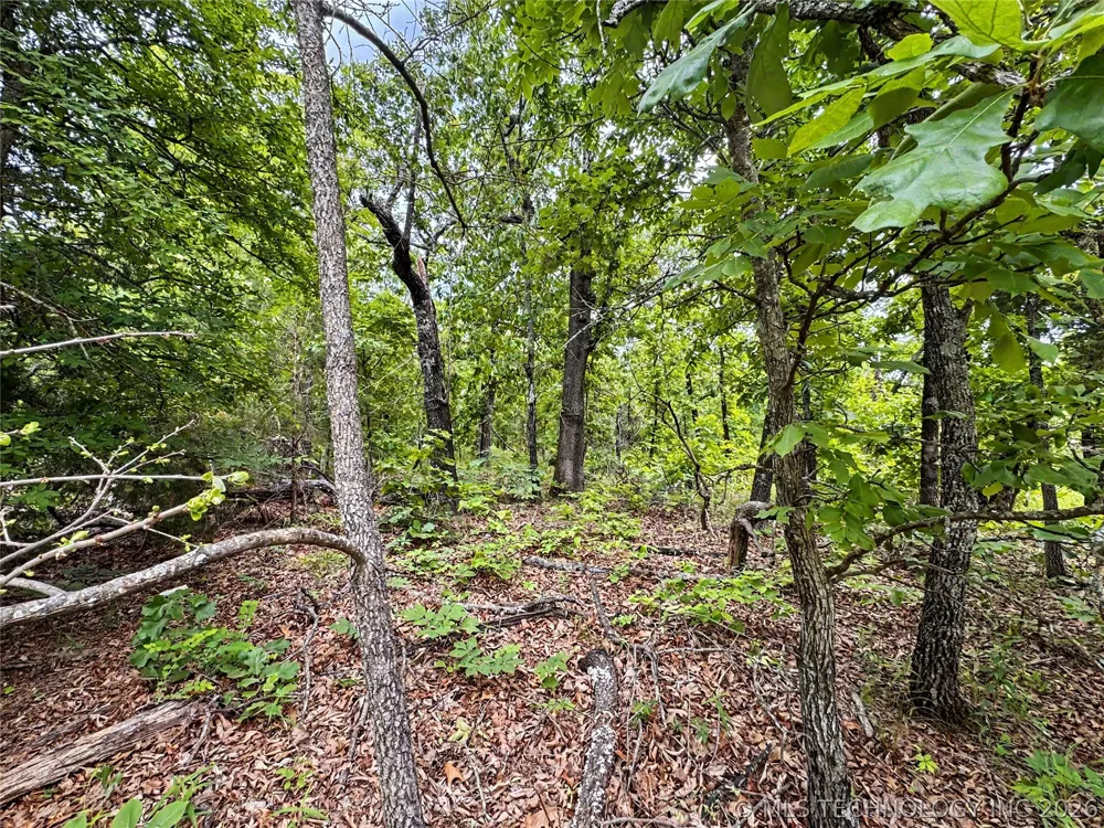 95001 S 4556 ROAD Vian, OK 74962