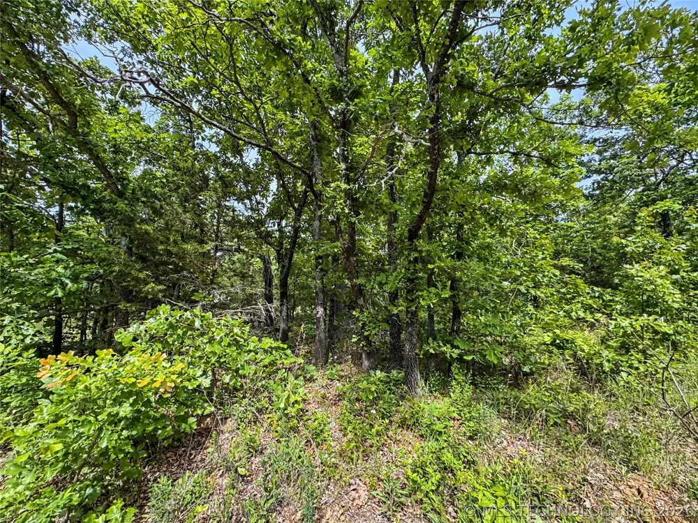 95001 S 4556 ROAD Vian, OK 74962