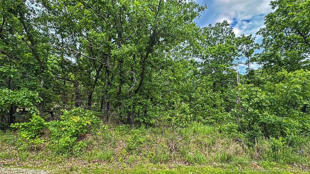 95001 S 4556 ROAD Vian, OK 74962