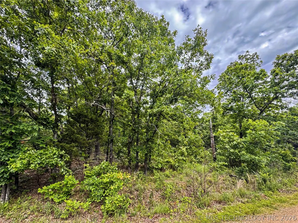 95001 S 4556 ROAD Vian, OK 74962