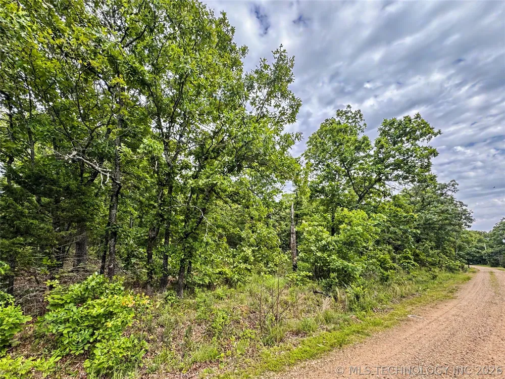 95001 S 4556 ROAD Vian, OK 74962