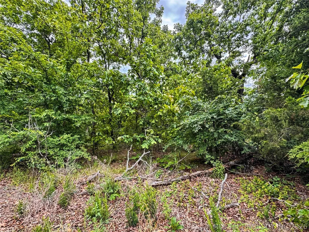 95001 S 4556 ROAD Vian, OK 74962