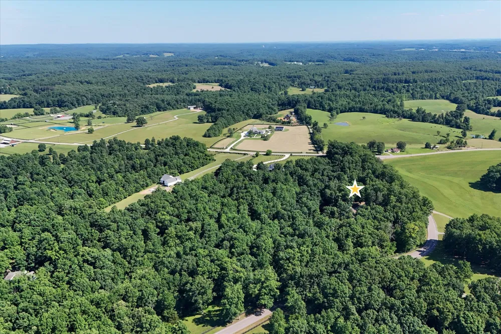 7865 Barnhill Rd Primm Springs, TN 38476