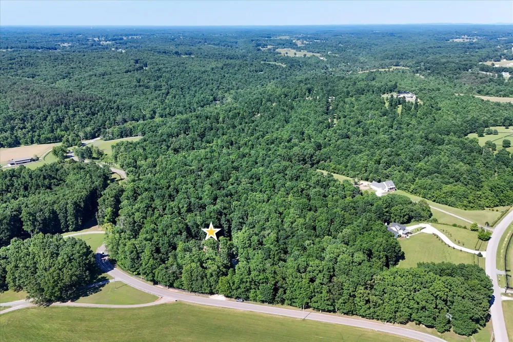 7865 Barnhill Rd Primm Springs, TN 38476