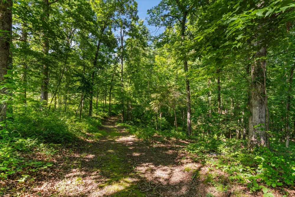 7865 Barnhill Rd Primm Springs, TN 38476