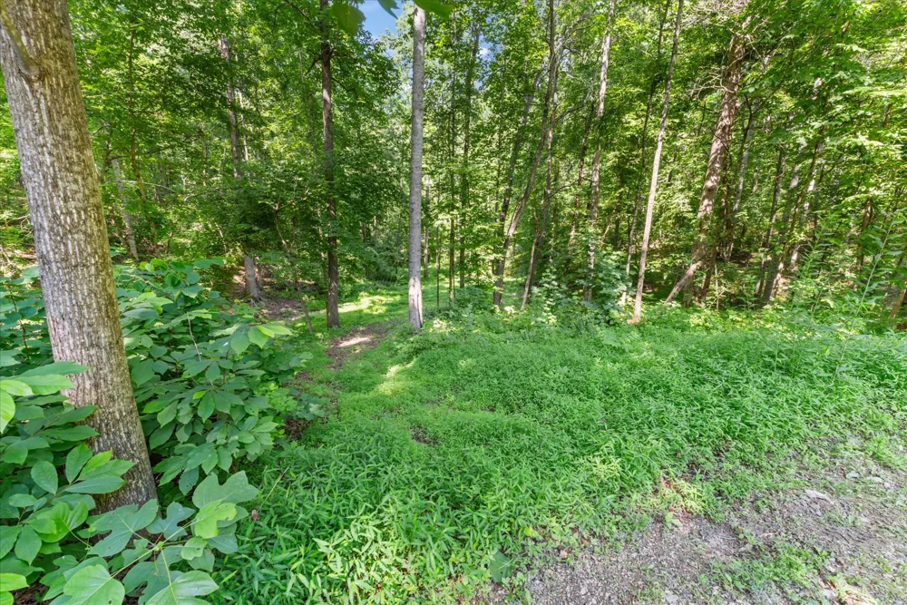 7865 Barnhill Rd Primm Springs, TN 38476