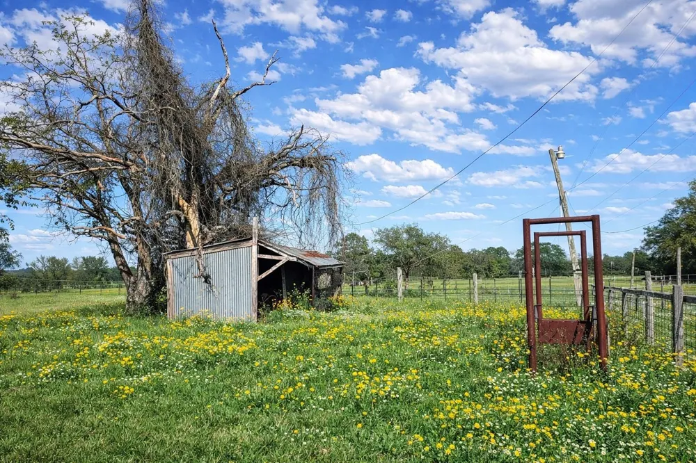 12811 E Us Hwy 79 Oakwood, TX 75855