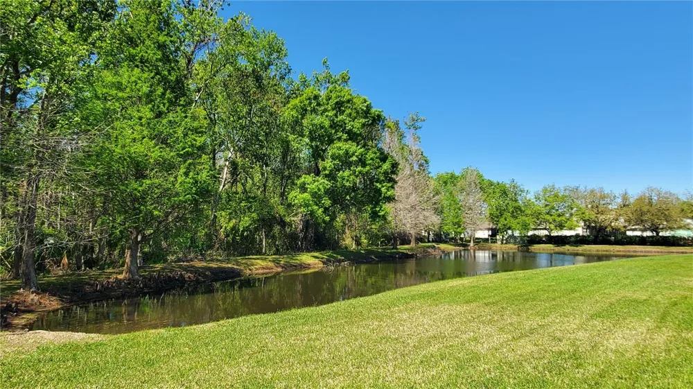 4535 WINDING RIVER WAY Land O Lakes, FL 34639