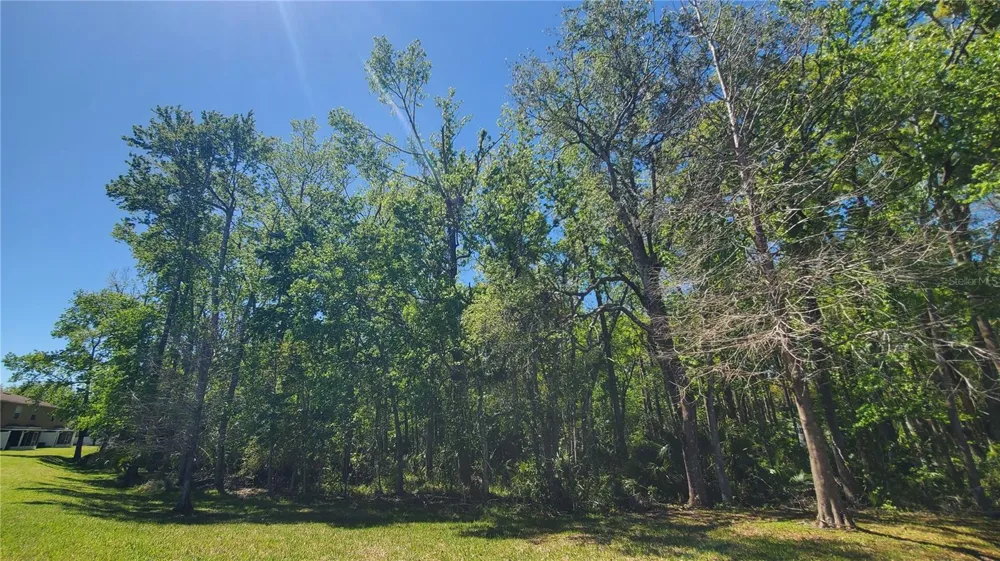 4535 WINDING RIVER WAY Land O Lakes, FL 34639