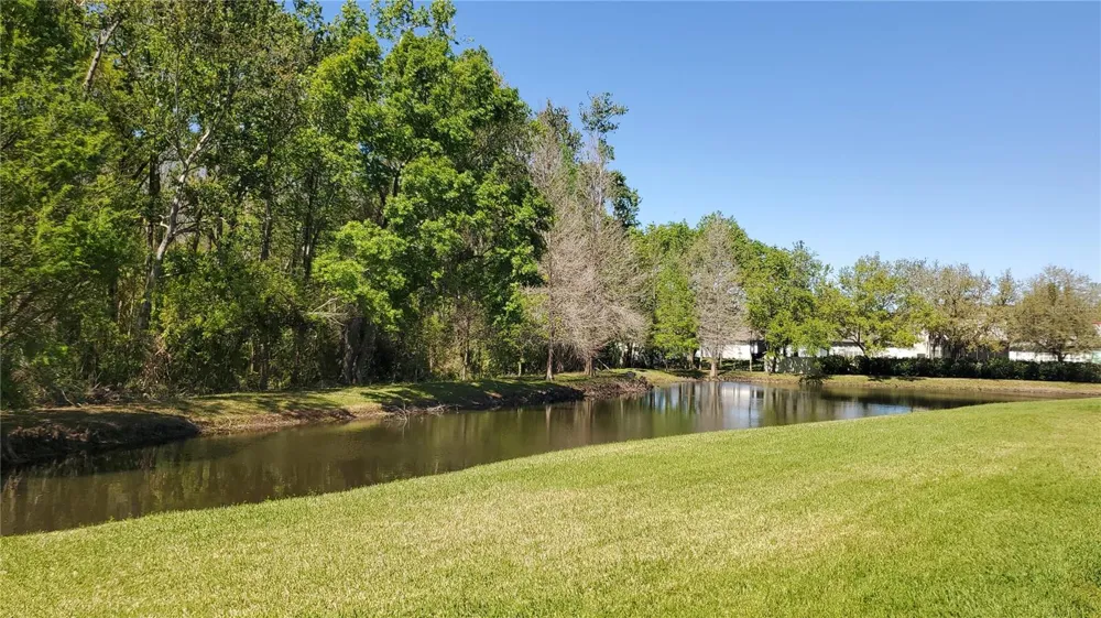 4535 WINDING RIVER WAY Land O Lakes, FL 34639
