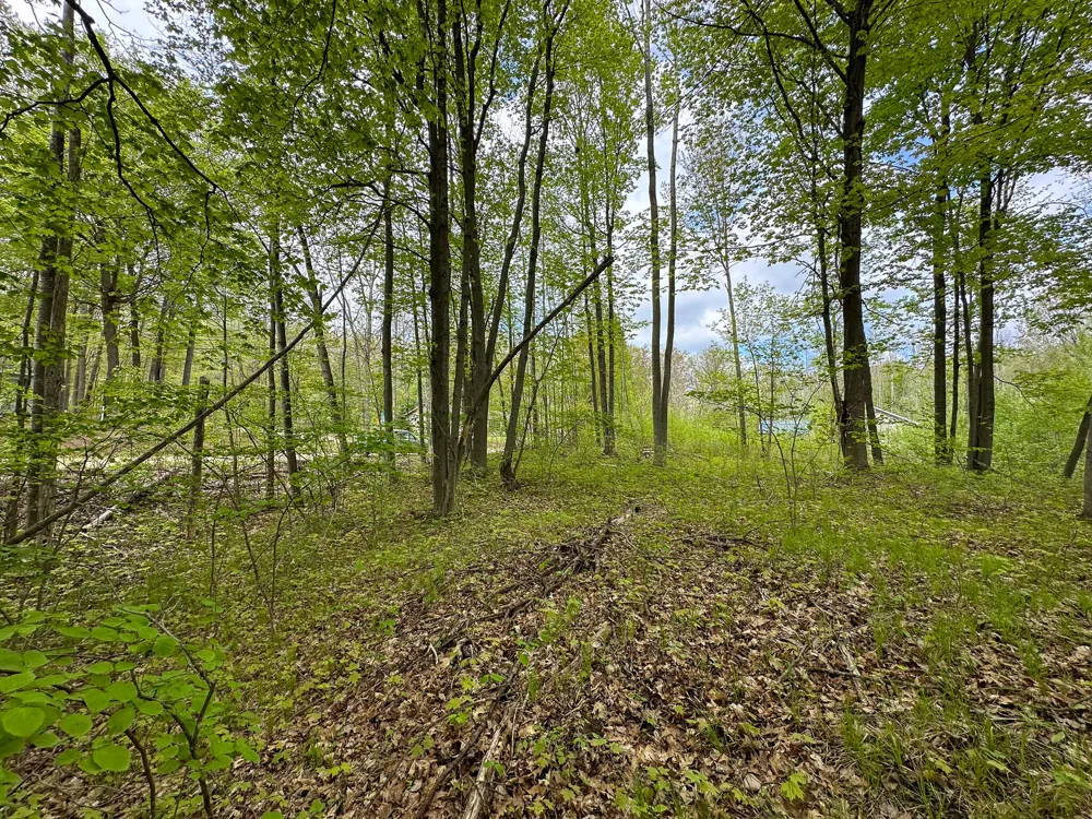 70 Buck Lane Harrison, MI 48625