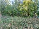0 Mountain View CIR Bremen, GA 30110