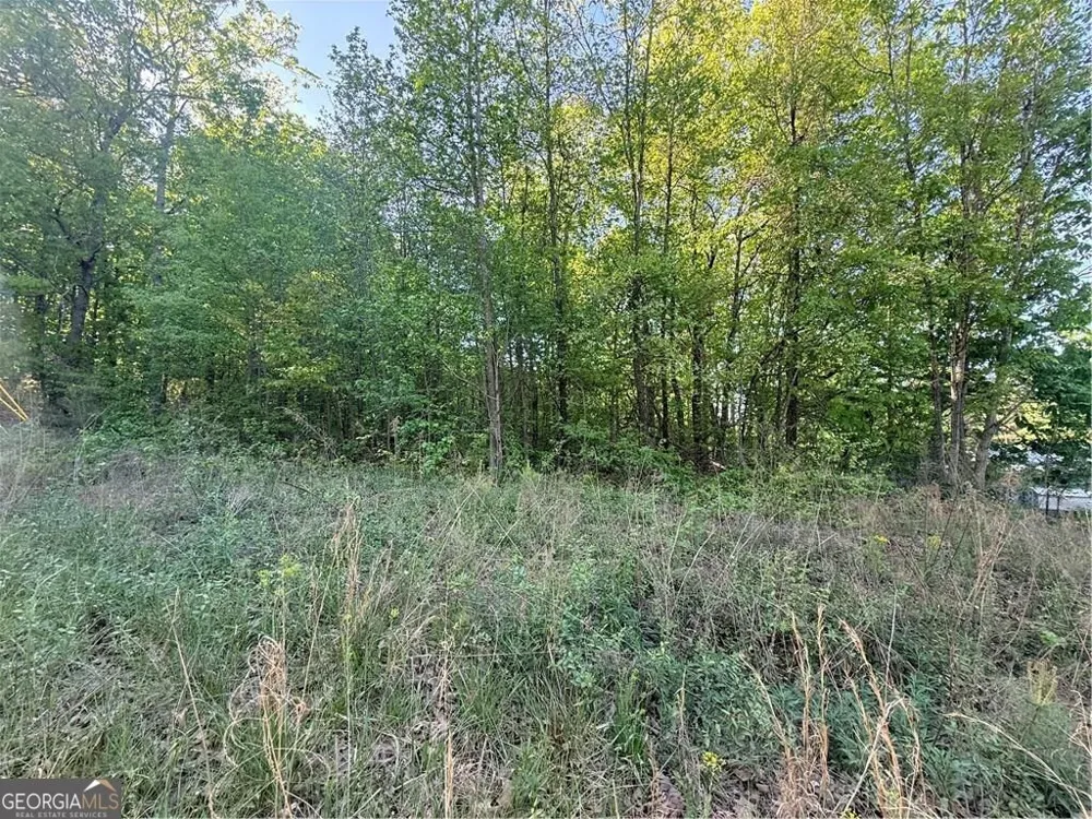 0 Mountain View CIR Bremen, GA 30110
