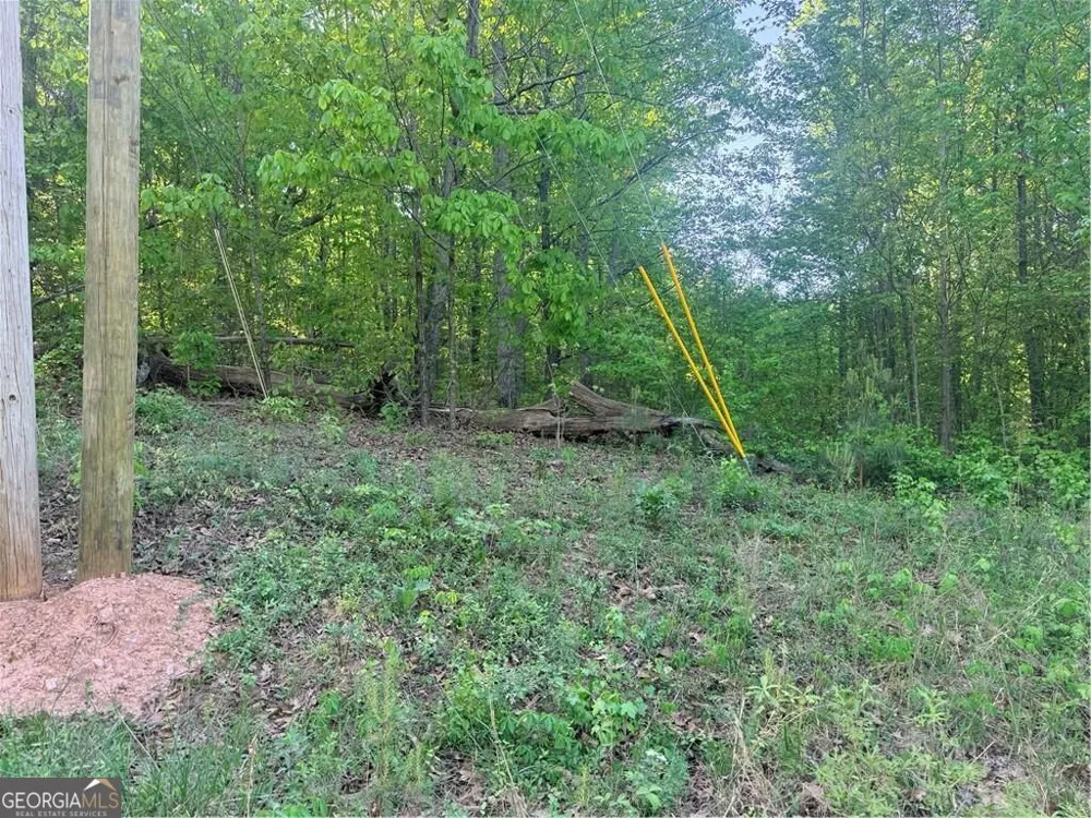 0 Mountain View CIR Bremen, GA 30110
