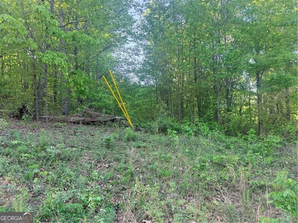 0 Mountain View CIR Bremen, GA 30110