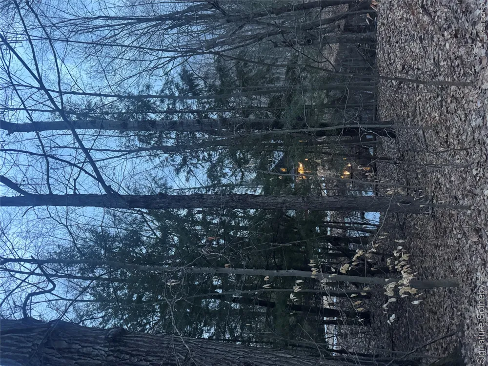 229 Forest Trail Rose Lake Township, MI 49655