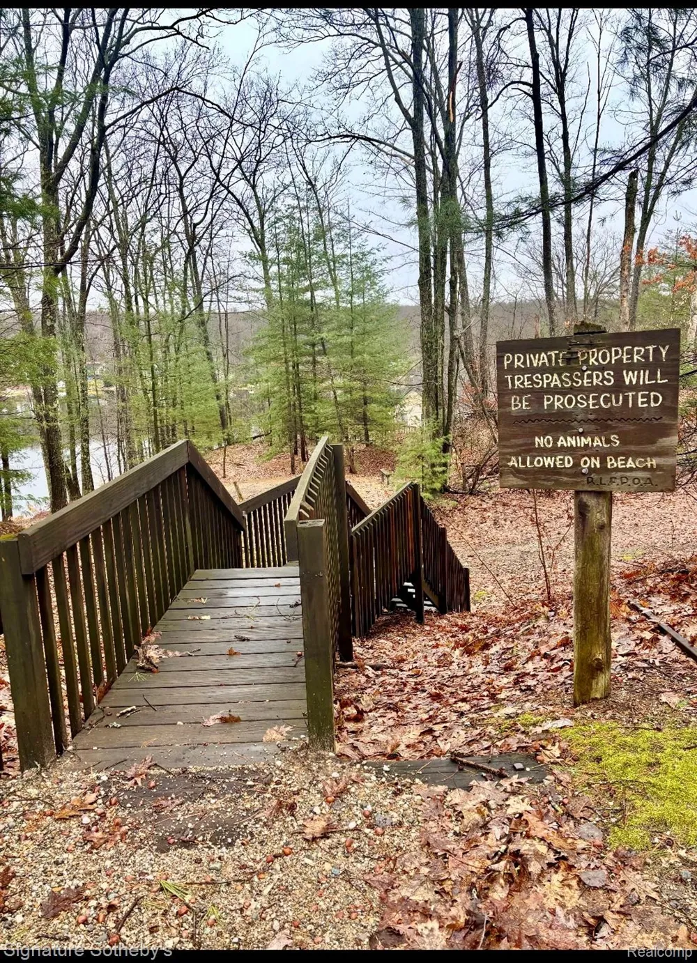 229 Forest Trail Rose Lake Township, MI 49655