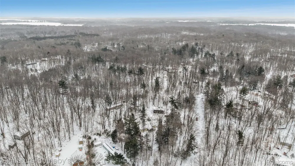 229 Forest Trail Rose Lake Township, MI 49655