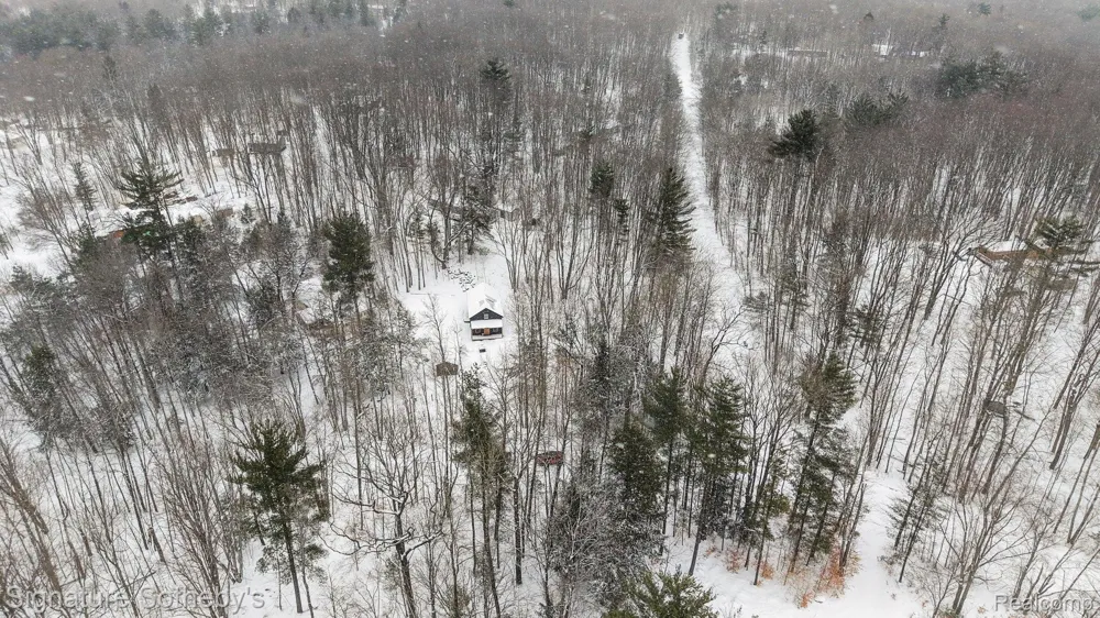 229 Forest Trail Rose Lake Township, MI 49655