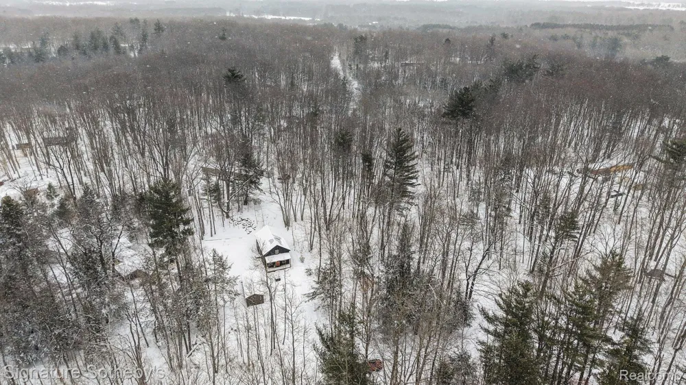 229 Forest Trail Rose Lake Township, MI 49655