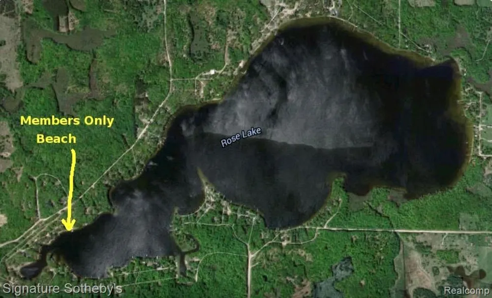229 Forest Trail Rose Lake Township, MI 49655