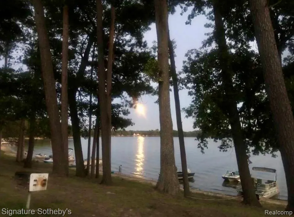229 Forest Trail Rose Lake Township, MI 49655