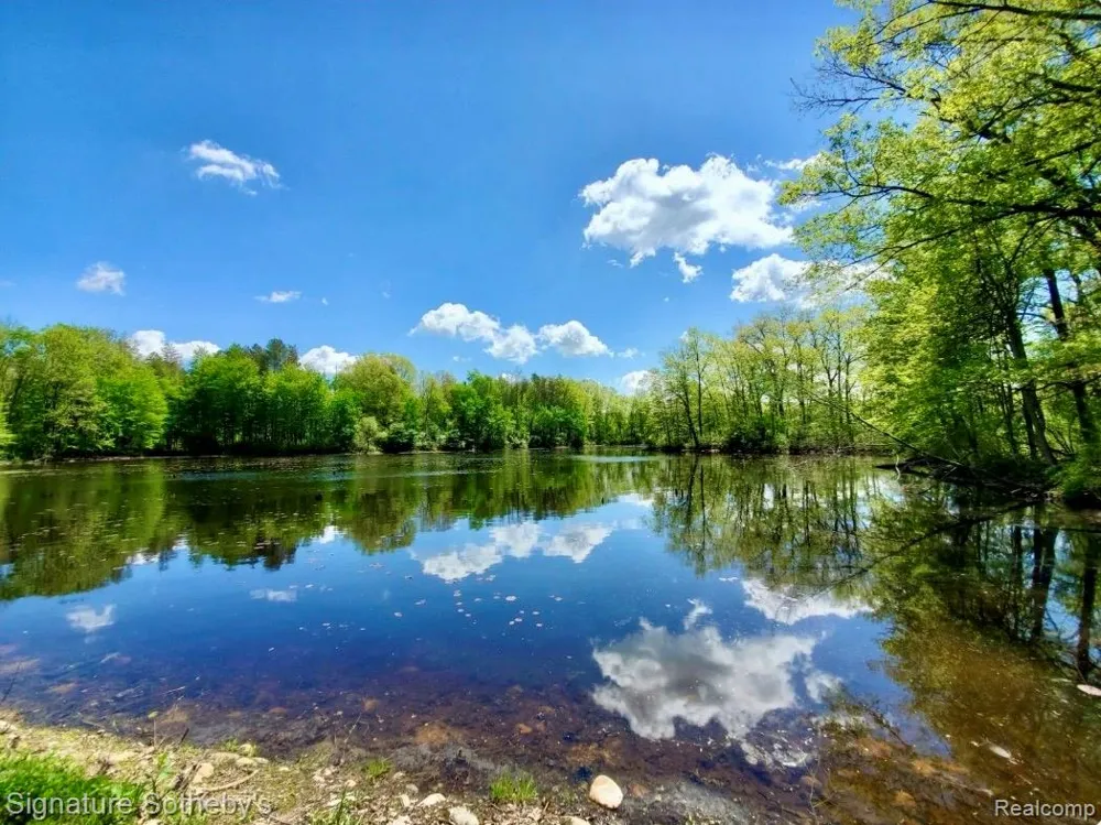 229 Forest Trail Rose Lake Township, MI 49655