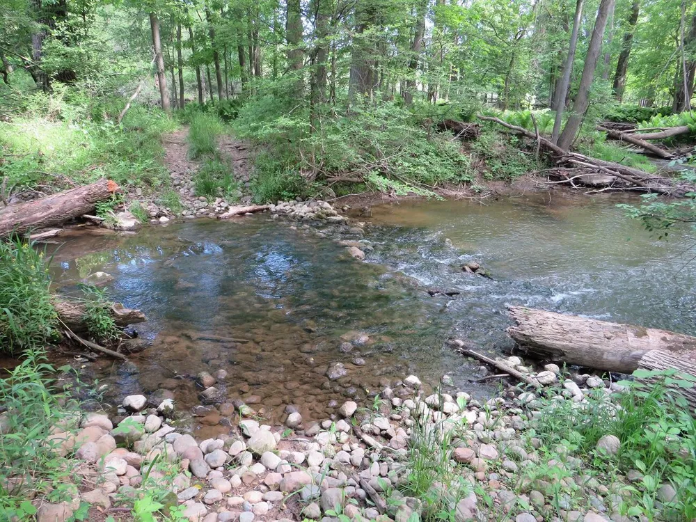4670 Rescue Road Grant Township, MI 48754