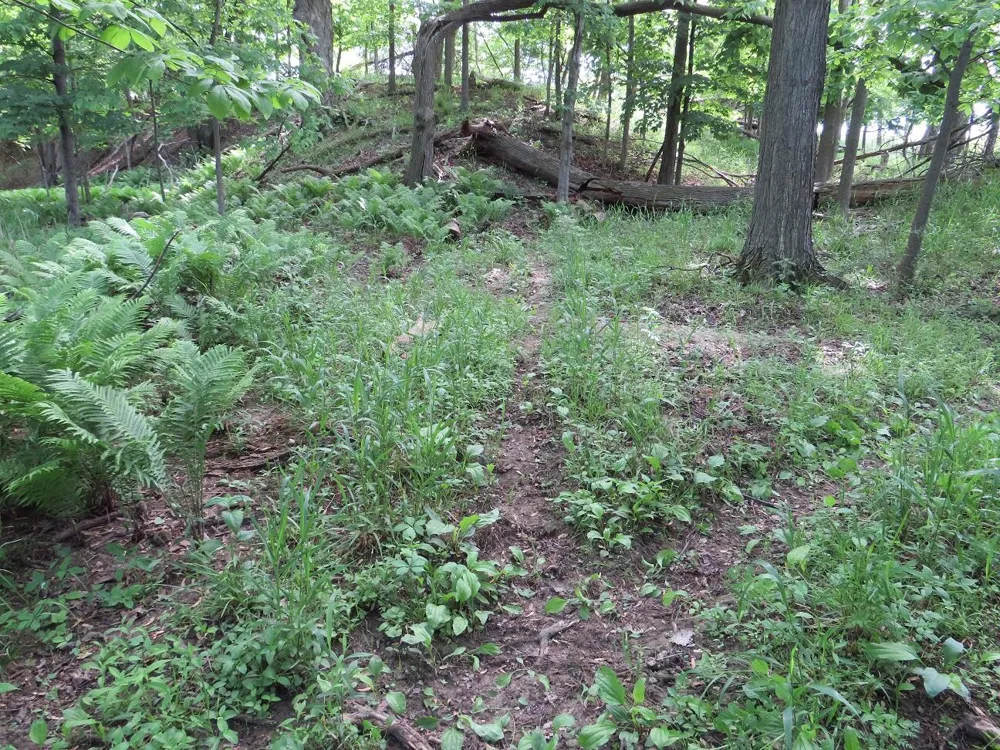 4670 Rescue Road Grant Township, MI 48754