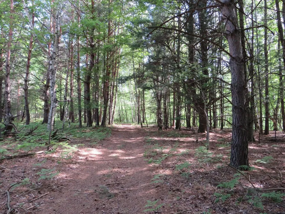 4670 Rescue Road Grant Township, MI 48754