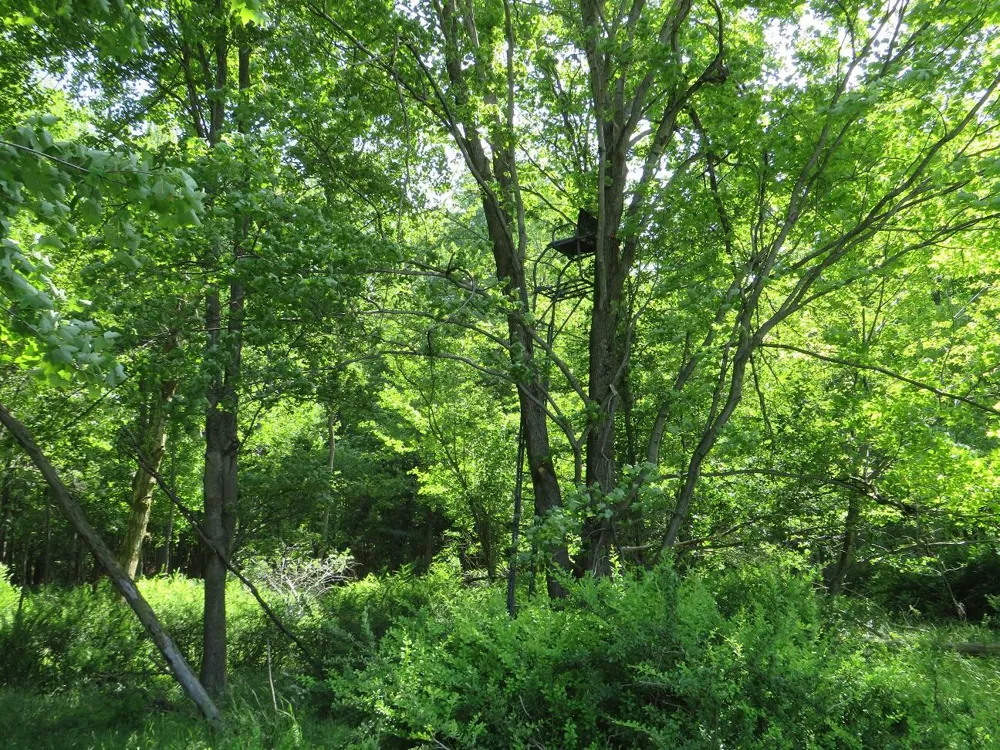 4670 Rescue Road Grant Township, MI 48754