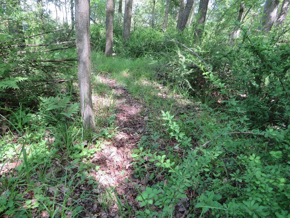 4670 Rescue Road Grant Township, MI 48754