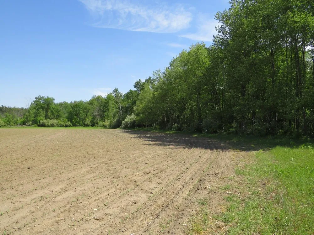 4670 Rescue Road Grant Township, MI 48754