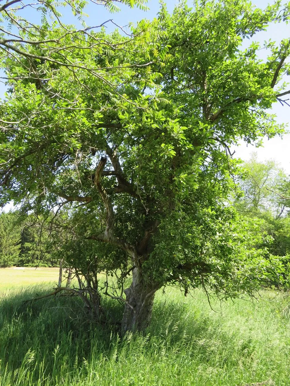 4670 Rescue Road Grant Township, MI 48754