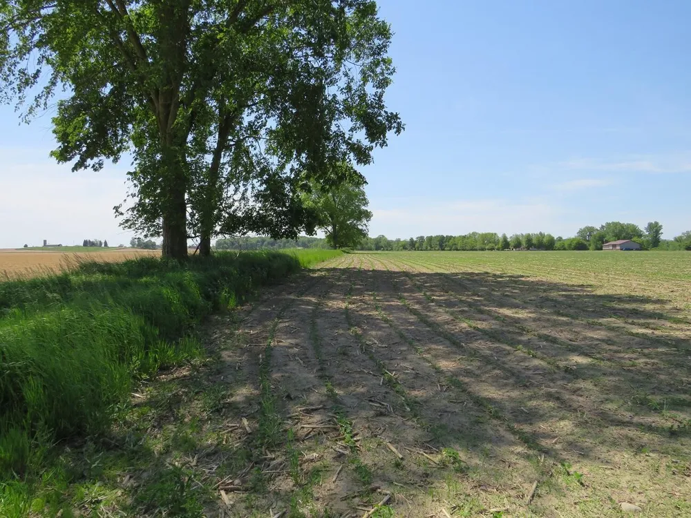 4670 Rescue Road Grant Township, MI 48754