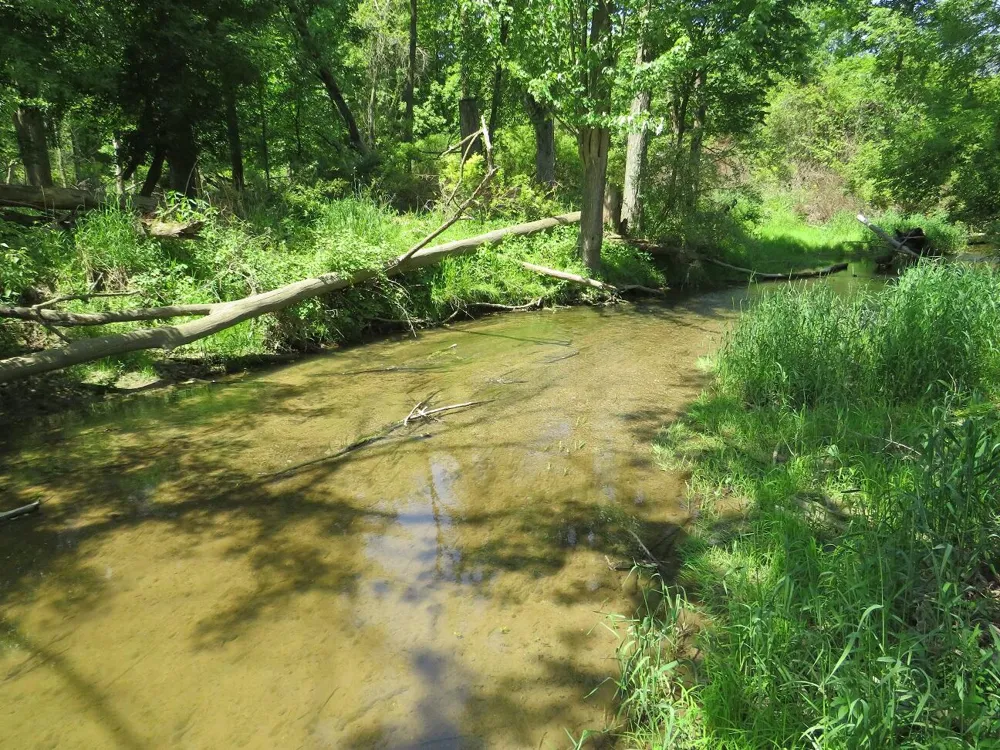 4670 Rescue Road Grant Township, MI 48754
