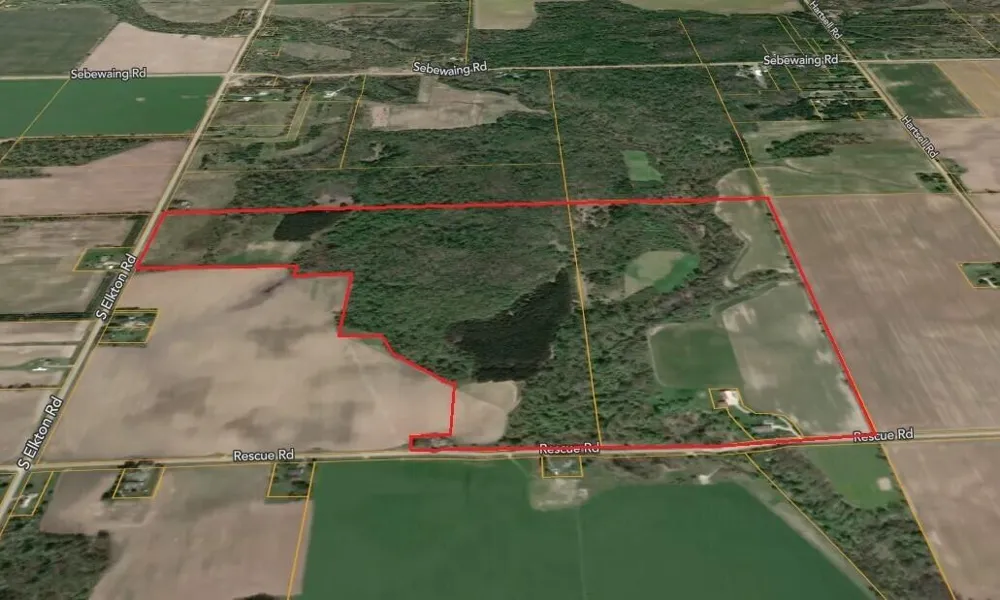 4670 Rescue Road Grant Township, MI 48754