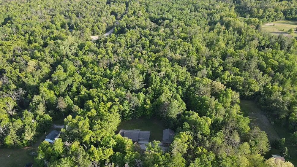 4335 Kings Corner Road Oscoda Charter Township, MI 48737