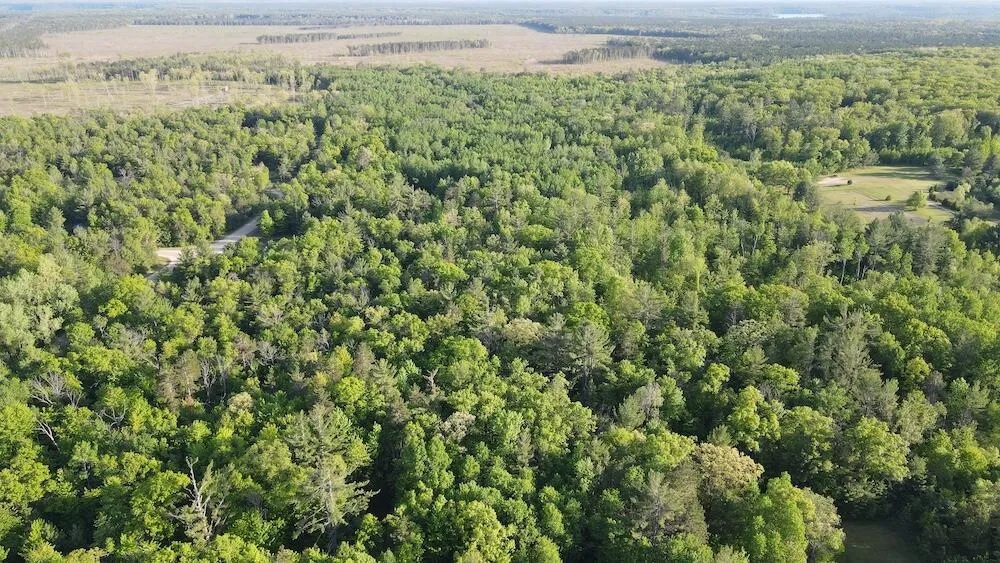 4335 Kings Corner Road Oscoda Charter Township, MI 48737