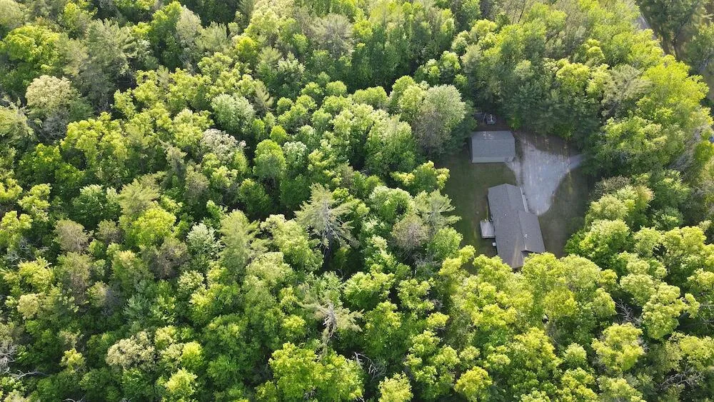 4335 Kings Corner Road Oscoda Charter Township, MI 48737