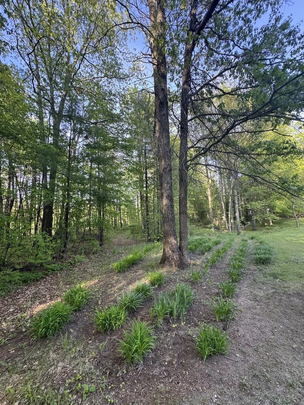 4335 Kings Corner Road Oscoda Charter Township, MI 48737