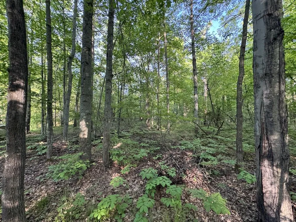 4335 Kings Corner Road Oscoda Charter Township, MI 48737