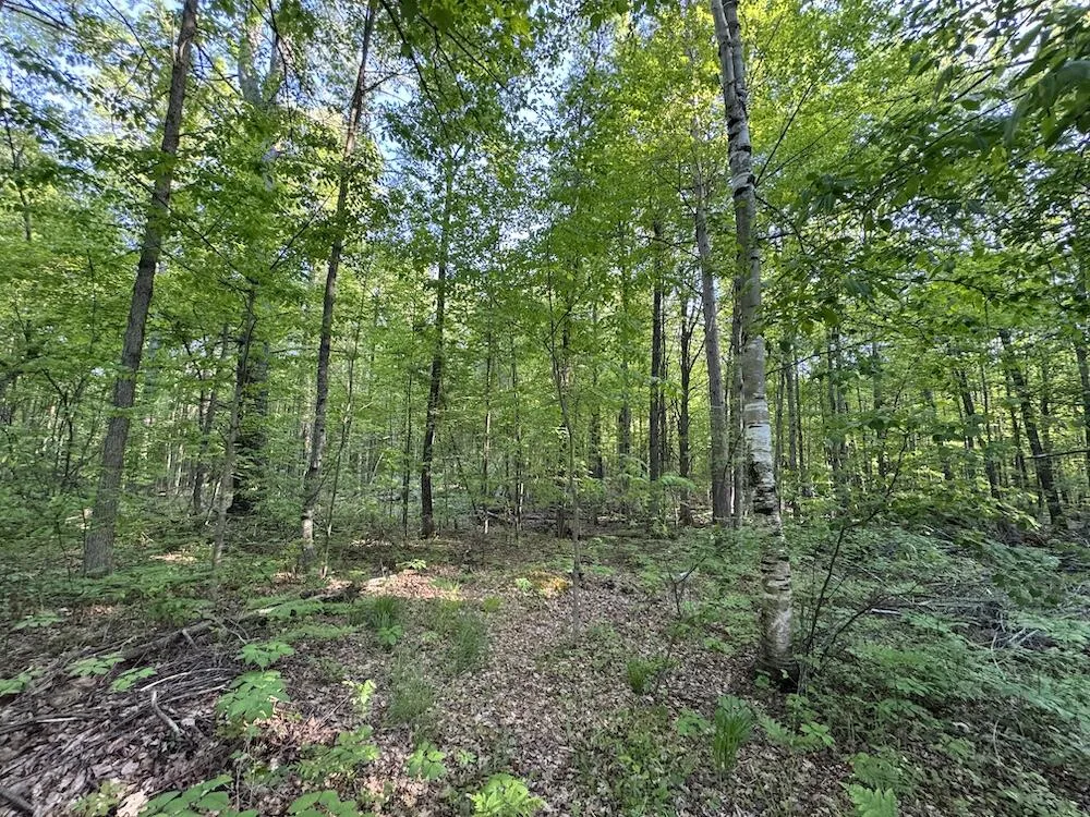 4335 Kings Corner Road Oscoda Charter Township, MI 48737