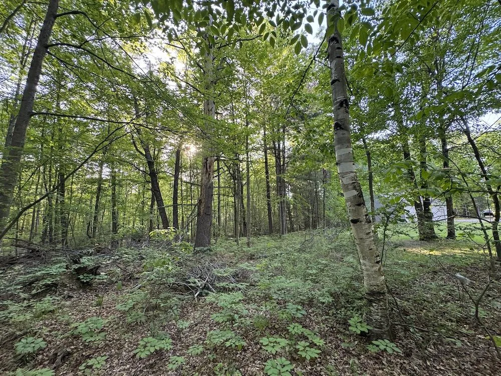 4335 Kings Corner Road Oscoda Charter Township, MI 48737