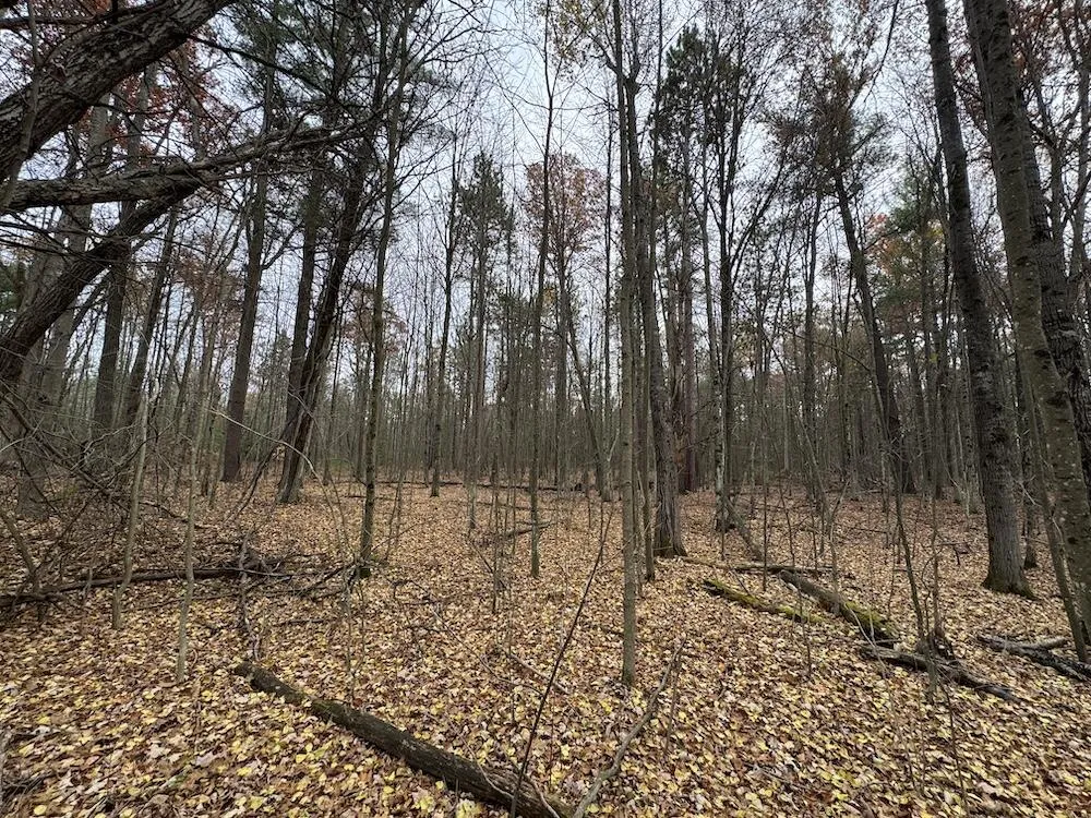 4335 Kings Corner Road Oscoda Charter Township, MI 48737